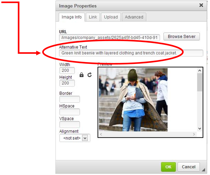 Add Image ALT Text in Image Properties Panel