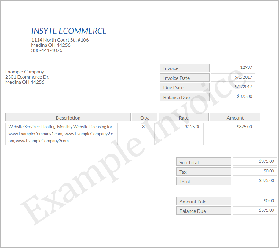 Example of Invoice