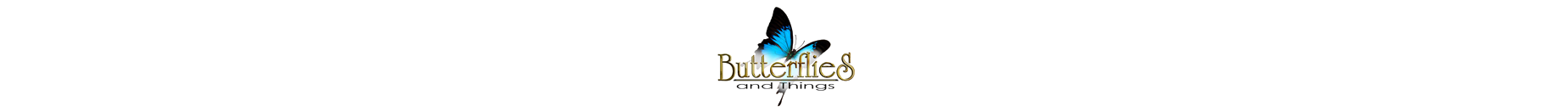 Butterflies & Things