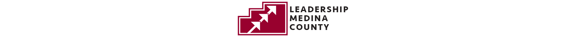 Leadership Medina County